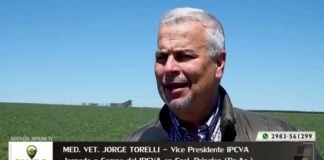 Entrevista a Med. Vet. Jorge Torelli