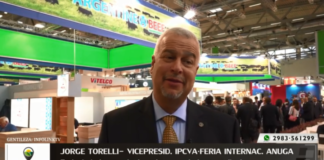 Entrevista a Jorge Torrelli