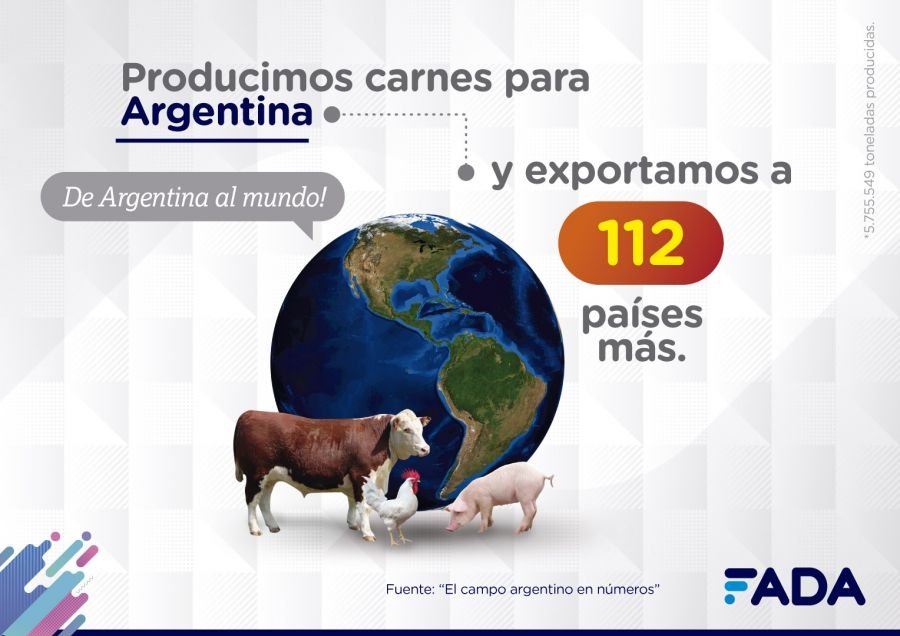 1-Campo-en-Numeros-Carne