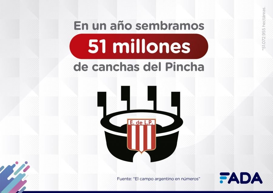 9-Campo-en-Numeros-Empleo-Estudiantes