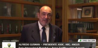 Entrevista a Alfredo Guzman