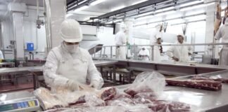 Oferta reducida y exportaciones fuertes empujan precios