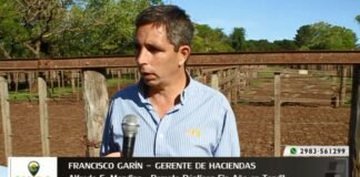 Entrevista a Francisco Garín