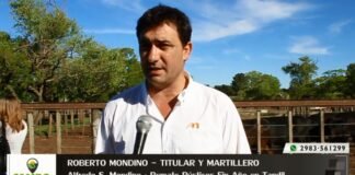 Entrevista a Roberto Mondino