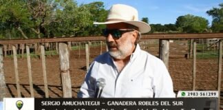 Entrevista a Sergio Amuchategui