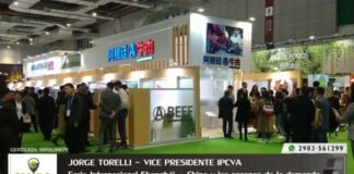 Entrevista a Jorge Torelli