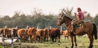 Aumento para los trabajadores rurales a partir de febrero