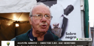 Entrevista a Agustín Arroyo