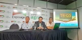 El IX Congreso Nacional de Trigo se realizará en 2021