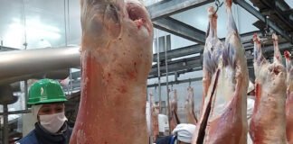 SENASA verifica frigoríficos que exportan carne a China