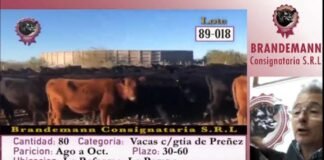Brandemann tuvo un capítulo 100% On Line
