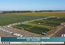 Muestra a Campo en Tres Arroyos