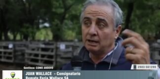 Entrevista a Juan Wallace