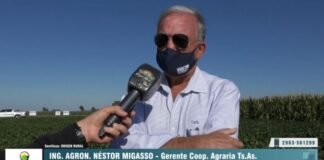 Entrevista a Néstor Migasso