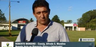 Entrevista a Roberto Mondino
