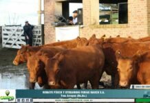 Ferias Rauch en Tres Arroyos