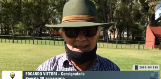 Entrevista a Edgardo Vittori