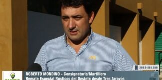 Entrevista a Roberto Mondino