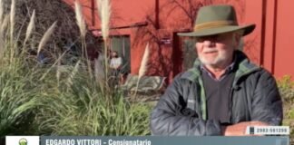 Entrevista a Edgardo Vittori