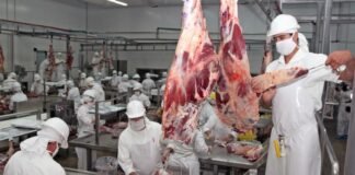 Luces amarillas en el mercado chino, oportunidad histórica en EEUU