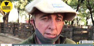 Entrevista a Juan Wallace
