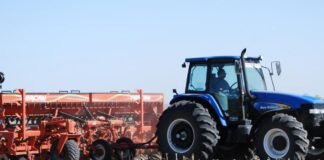¿Por qué cae la siembra de trigo pese a los elevados precios?