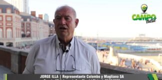 Entrevista a Jorge Illa