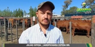 Entrevista con Julián Cepeda