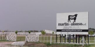 La balanza bien aceitada con las vacas