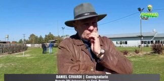 Entrevista a Daniel Civardi