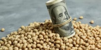 En su laberinto, el mercado local de Soja espera nuevos incentivos