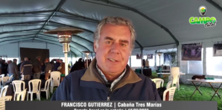 Entrevista a Francisco Gutiérrez