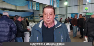 Entrevista a Alberto Guil