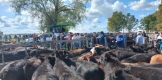 En Coronel Dorrego explotó la feria