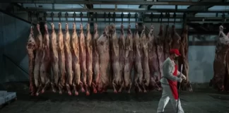 La carne y los vaivenes del precio internacional en la última década