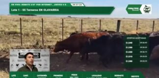 El streaming en su capítulo semanal