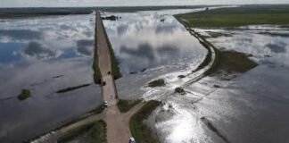 El agua también le pega duro al campo