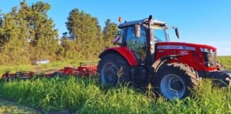 Innovación en las estrategias de manejo de malezas
