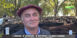 Entrevista a J. Ansaldo, N. Lafontaine y M. Matteucci
