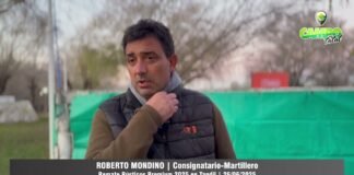 Entrevista a Roberto Mondino