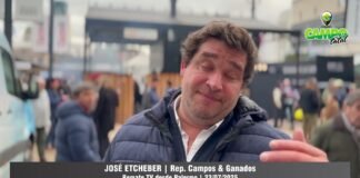 Entrevista a José Etcheber