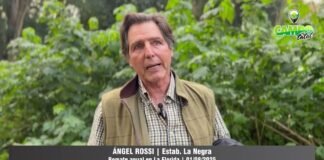 Entrevista a Ángel Rossi