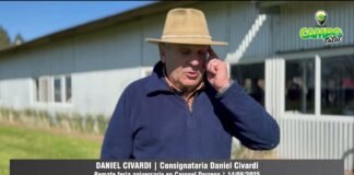 Entrevista a Daniel Civardi