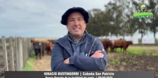 Entrevista a Ignacio Bustingorri