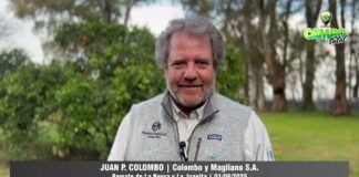 Entrevista a Juan P. Colombo