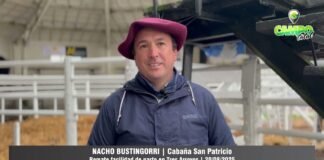 Entrevista a Nacho Bustingorri