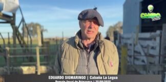 Entrevista a Eduardo Sigmaringo