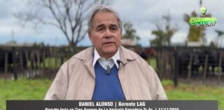 Entrevista a Daniel Alonso
