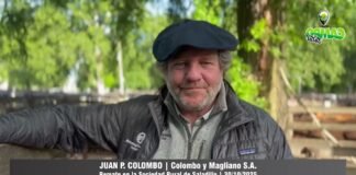 Entrevista a Juan P. Colombo