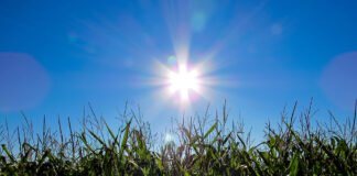 Febrero, ¿llegan las lluvias?